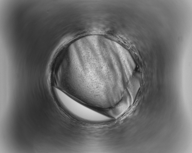 X0000093480197200711020939