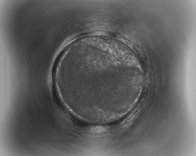 X0000093480198200711020939