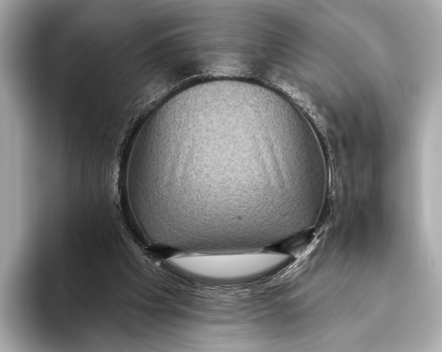 X0000093480201200711020939