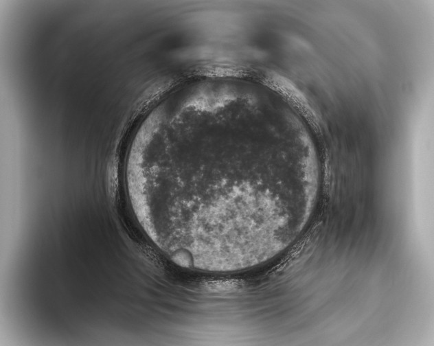 X0000093480202200711020939