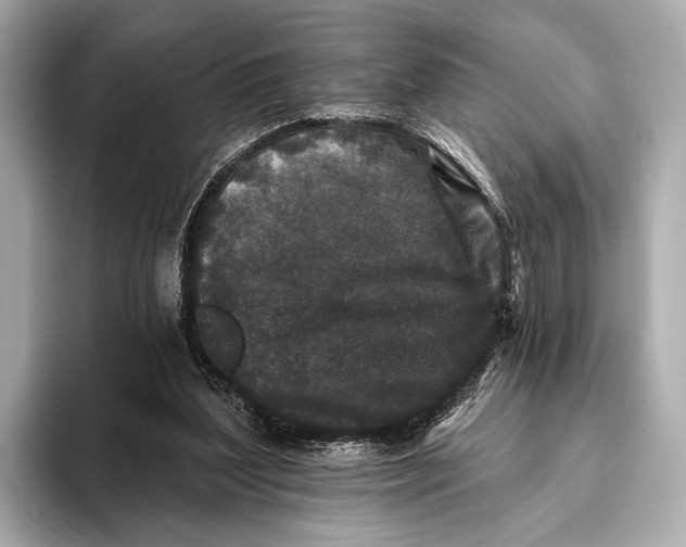 X0000093480204200711020939