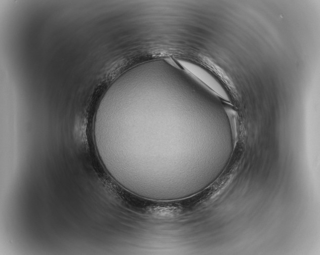 X0000093480209200711020939