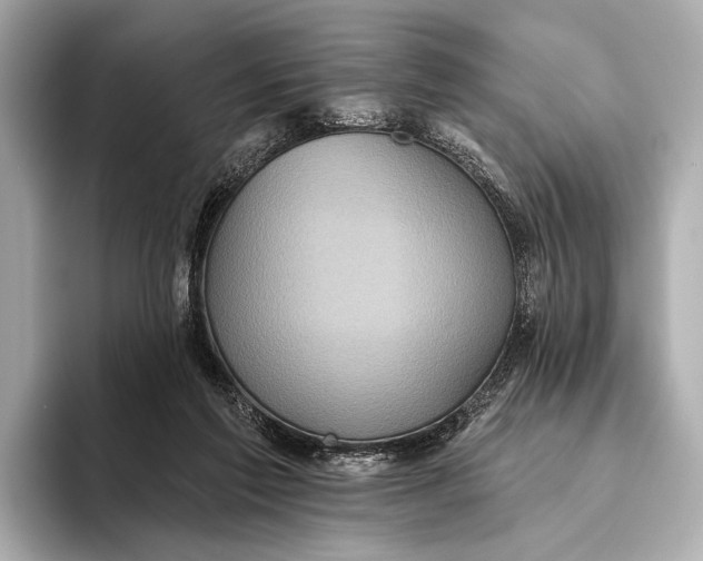 X0000093480213200711020939