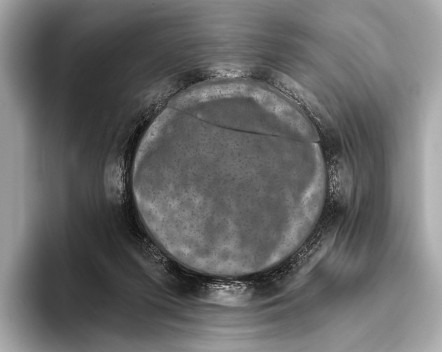 X0000093480215200711020939