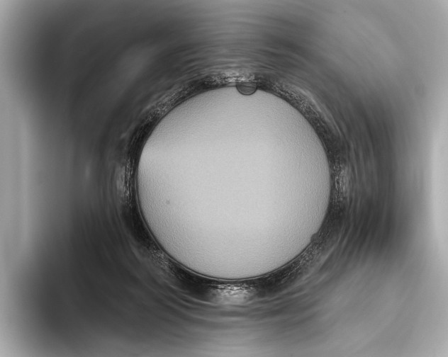 X0000093480218200711020939