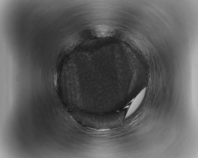 X0000093480219200711020939