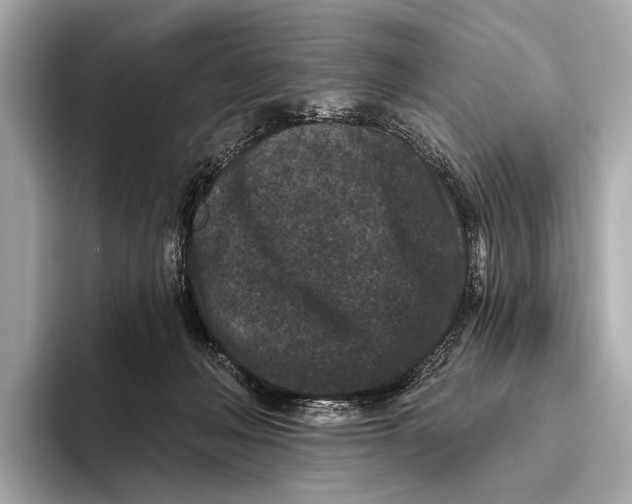 X0000093480222200711020939