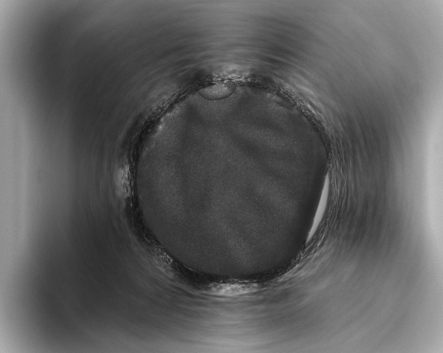 X0000093480224200711020939