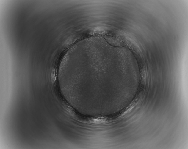 X0000093480232200711020939