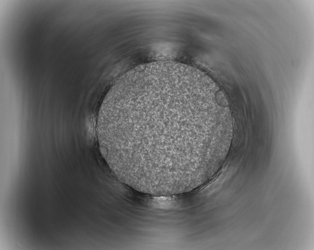 X0000093480240200711020939