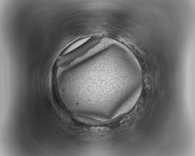 X0000093480242200711020938