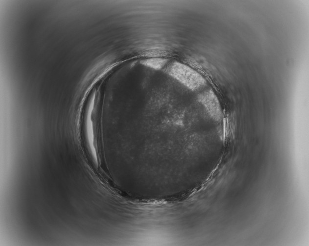 X0000093480243200711020938