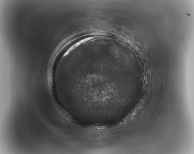 X0000093480247200711020938