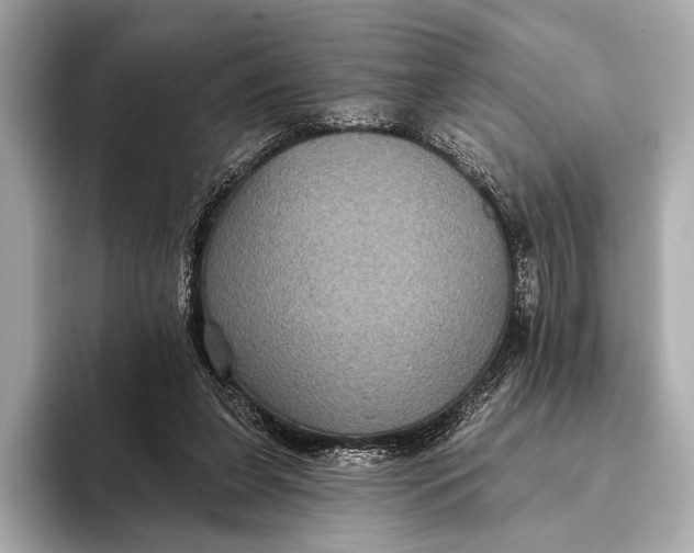 X0000093480255200711020938