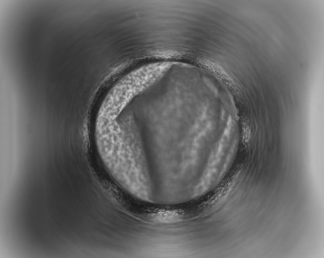 X0000093480256200711020938
