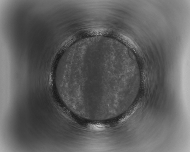 X0000093480258200711020938