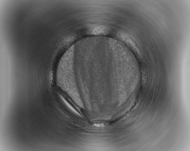 X0000093480260200711020938