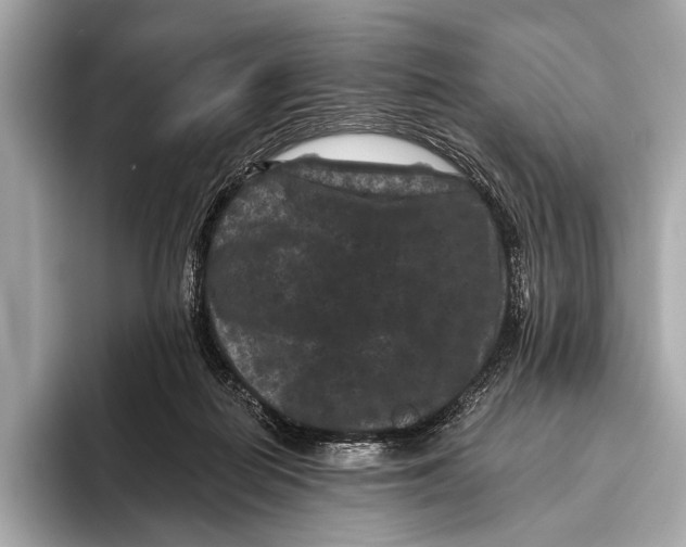 X0000093480266200711020938