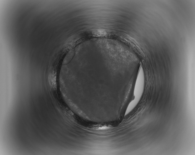 X0000093480267200711020938