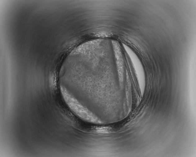 X0000093480268200711020938
