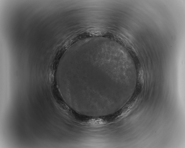 X0000093480271200711020938