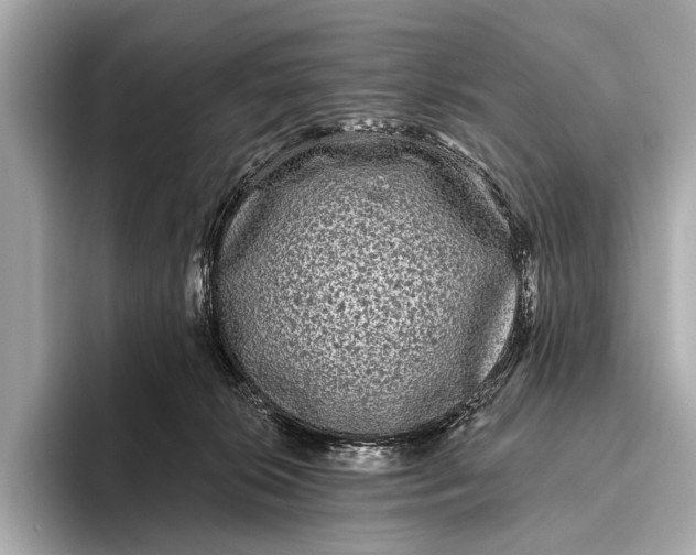 X0000093480276200711020938
