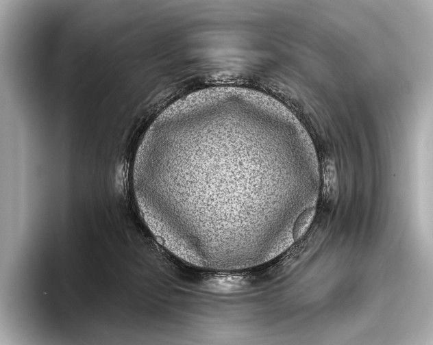 X0000093480278200711020938