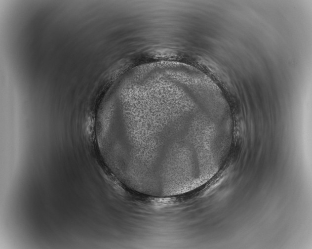 X0000093480281200711020939