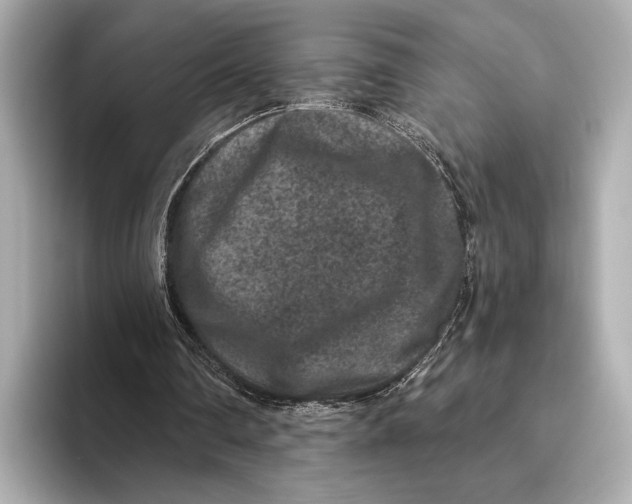 X0000093480290200711020938