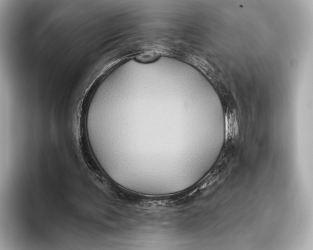 X0000093480291200711020938