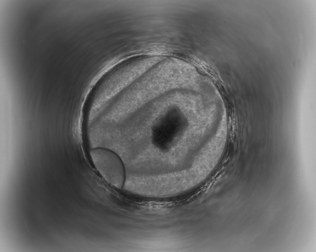 X0000093480292200711020938
