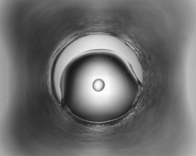 X0000093480293200711020938