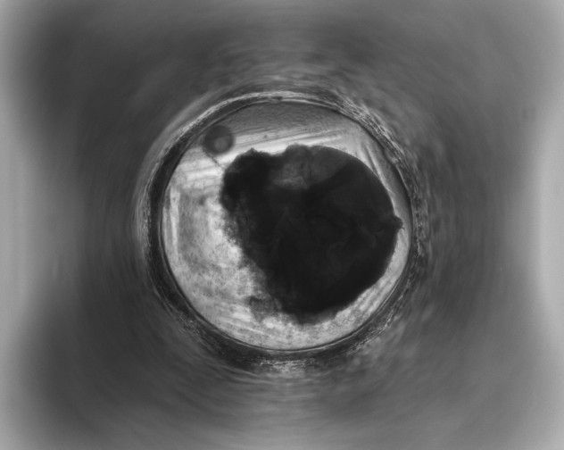 X0000093480295200711020938