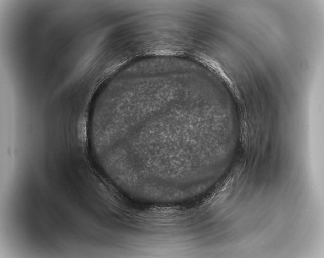 X0000093480299200711020938