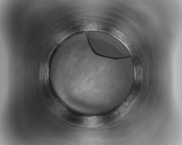 X0000093480301200711020938