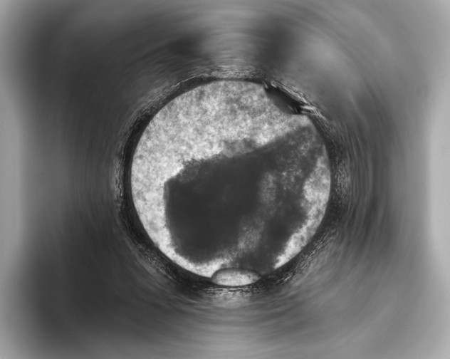 X0000093480303200711020938