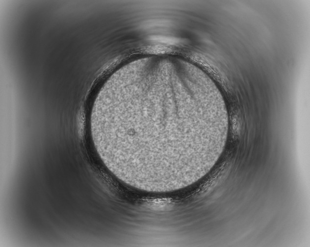 X0000093480304200711020938