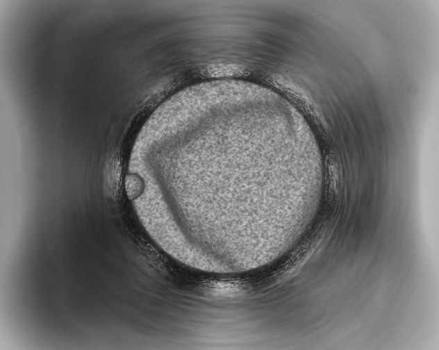 X0000093480308200711020938