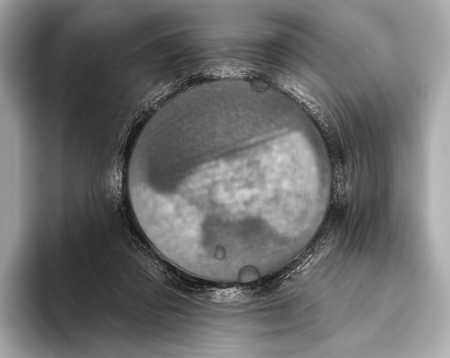 X0000093480309200711020938