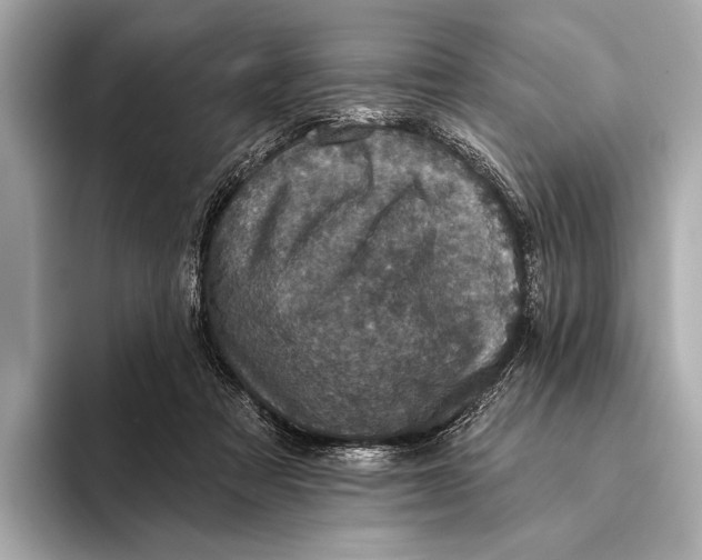 X0000093480313200711020938