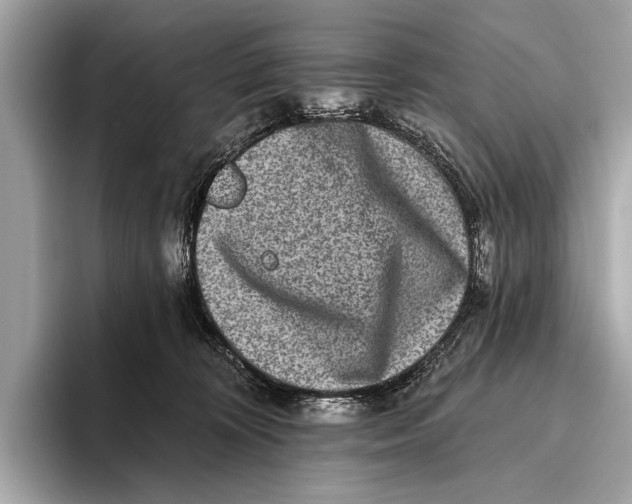 X0000093480324200711020938