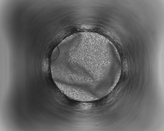 X0000093480328200711020938