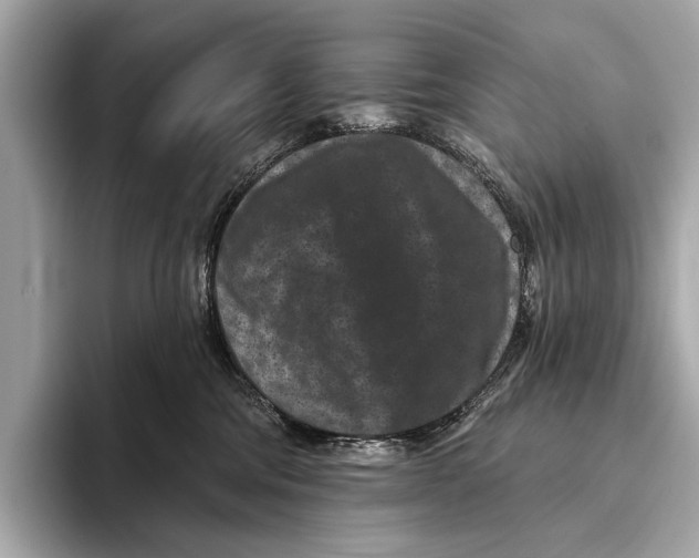 X0000093480330200711020938