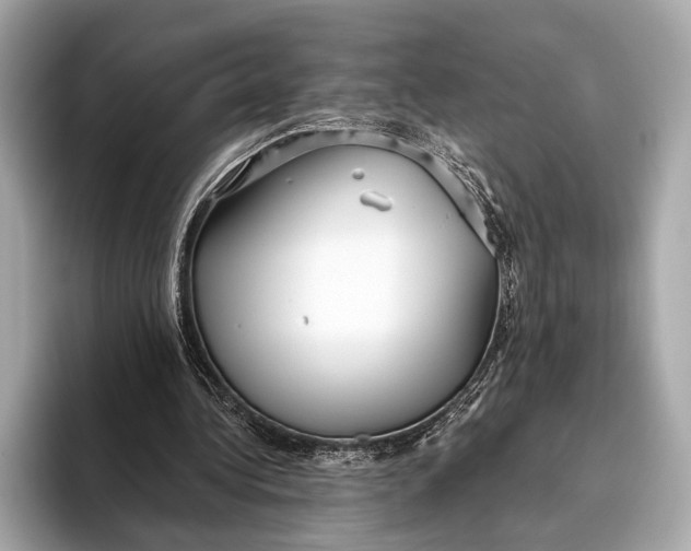 X0000093480340200711020937