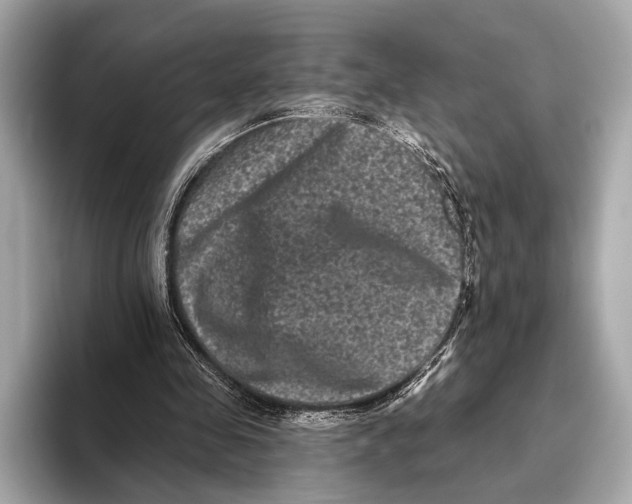 X0000093480341200711020937