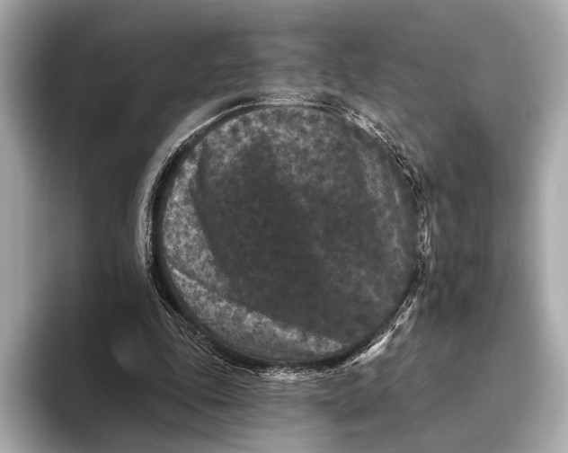 X0000093480343200711020937