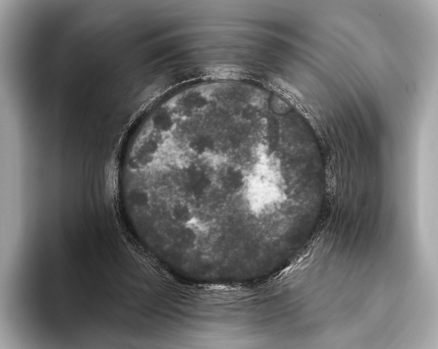 X0000093480347200711020937