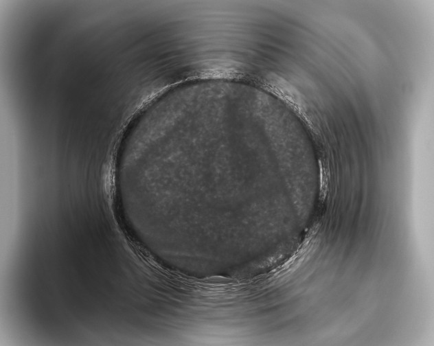 X0000093480348200711020937