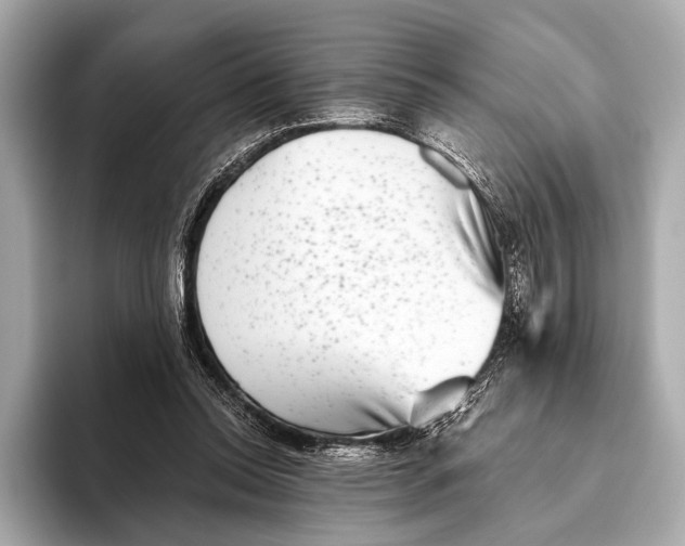X0000093480350200711020937