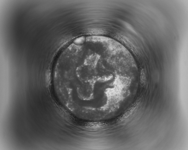 X0000093480351200711020937